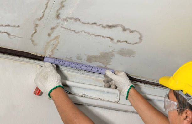 Reliable Structural Drying contractor in Burr Hill, VA by Water Damage Irwin